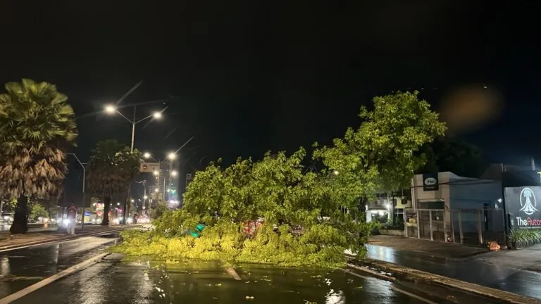 Temporal provoca quedas de árvores, alagamentos e falta de energia em Teresina.
