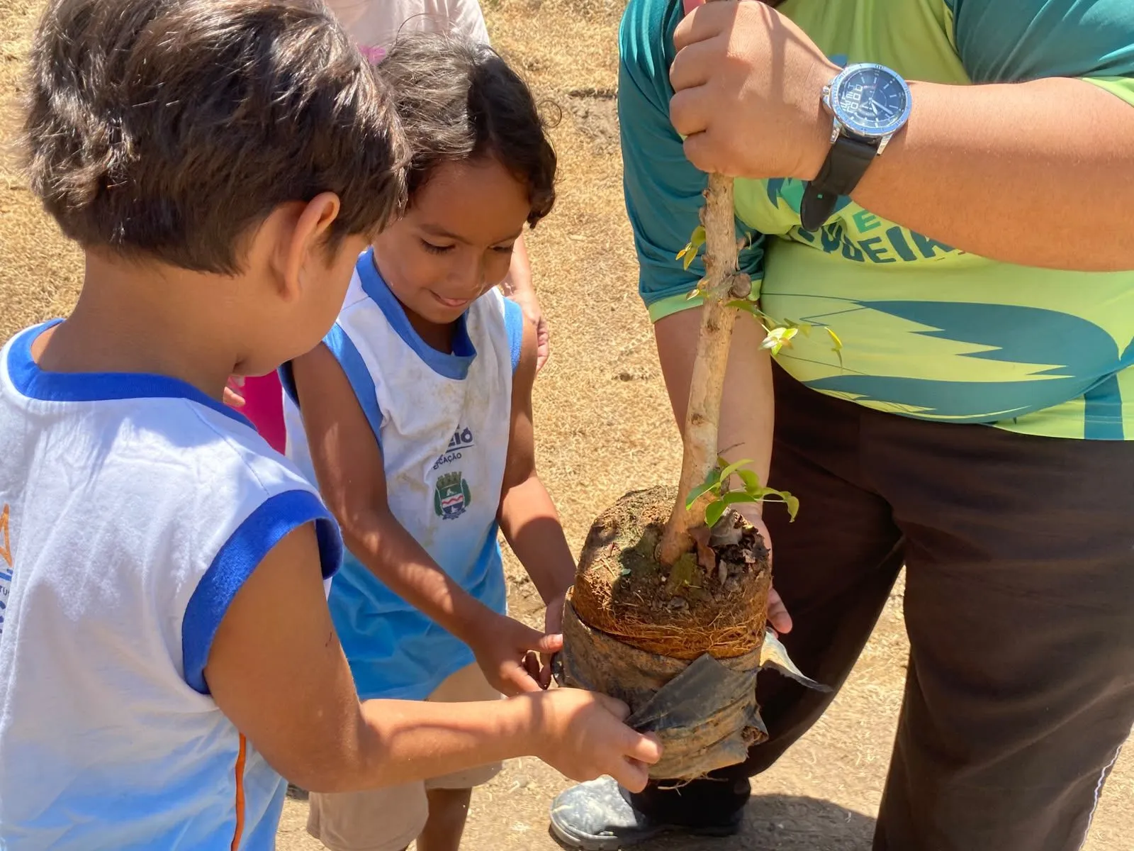 Projeto Arborizar é Massa realiza atividades sustentáveis e plantio de árvores com crianças do Flexal, em Bebedouro
