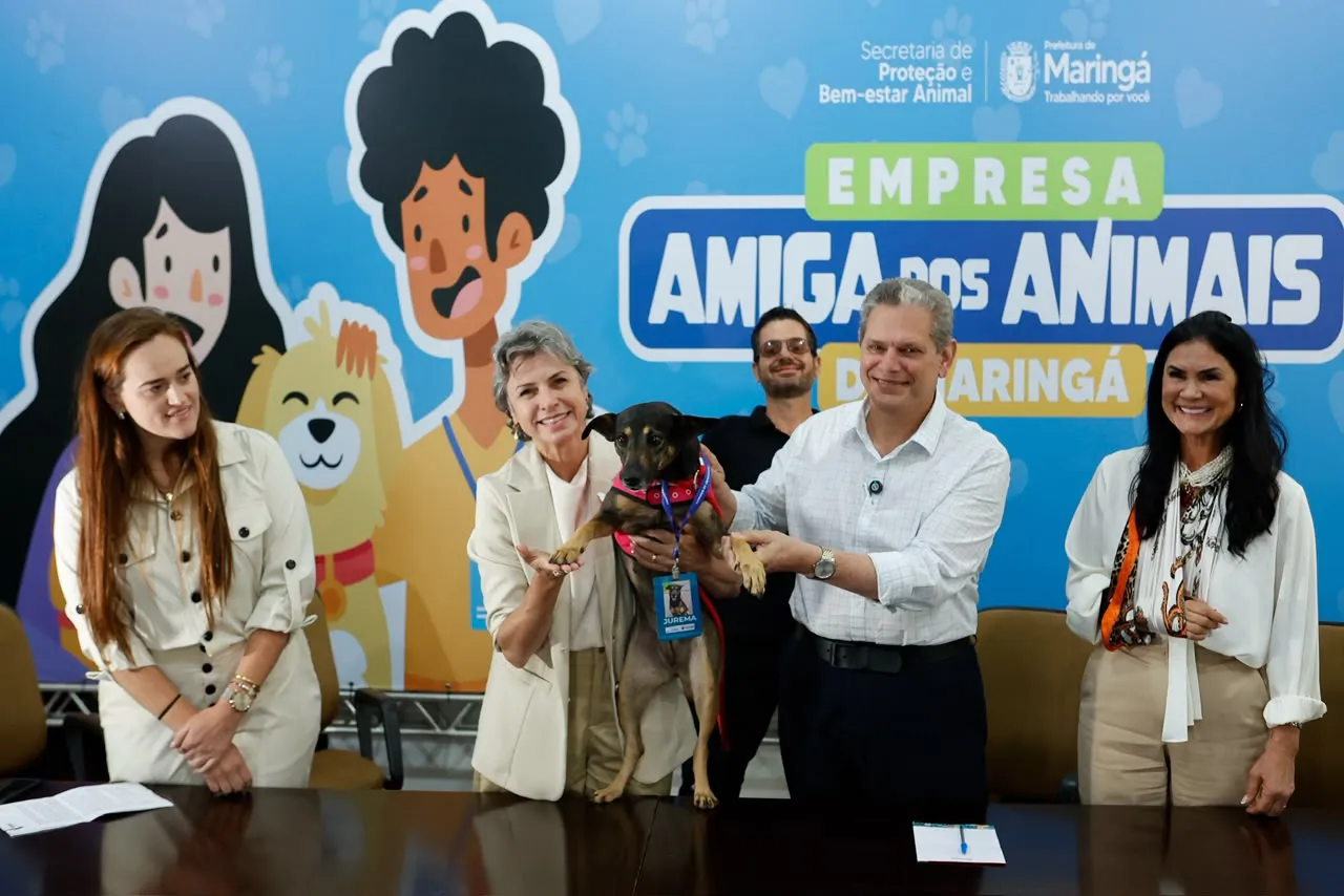 Maringá empossa cadela Jurema em projeto de inclusão e proteção anim